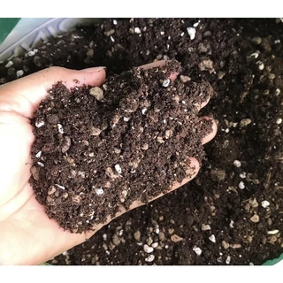 GIA THỂ TRỘN SẴN CHUYÊN DÀNH CHO SEN ĐÁ SOILMIX TÚI 400g