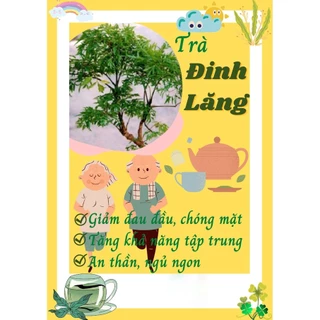 Trà Lá Đinh Lăng, giảm đau đầu, chóng mặt, an thần ngủ ngon, Giảm Đau Xương Khớp hiệu quả, 40 Túi Lọc