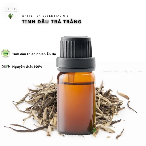 Tinh dầu Trà Trắng White Tea Essential oil Ấn Độ - nguyên chất 100%