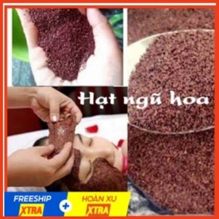 Ngũ Hoa Hạt .1Kg Mặt Nạ Ngũ Hoa  ( Hạt Ngũ Hoa, Hạt Đình Lịch, Hạt Bình Lịch, Hạt Nhũ Hoa )