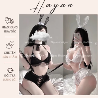 HT258 Set nội y ren, cosplay sexy nàng thỏ, bộ đồ lót hoá trang gợi cảm HT258