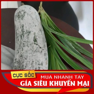 Trái Bí Đao Già tươi (Bí Đao tươi) 1kg - Thảo Dược Ngọc Ánh