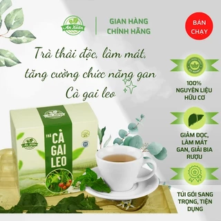 Trà túi lọc cà gai leo An Xuân hộp 40gr - Mát gan, giải độc gan, thanh nhiệt cơ thể