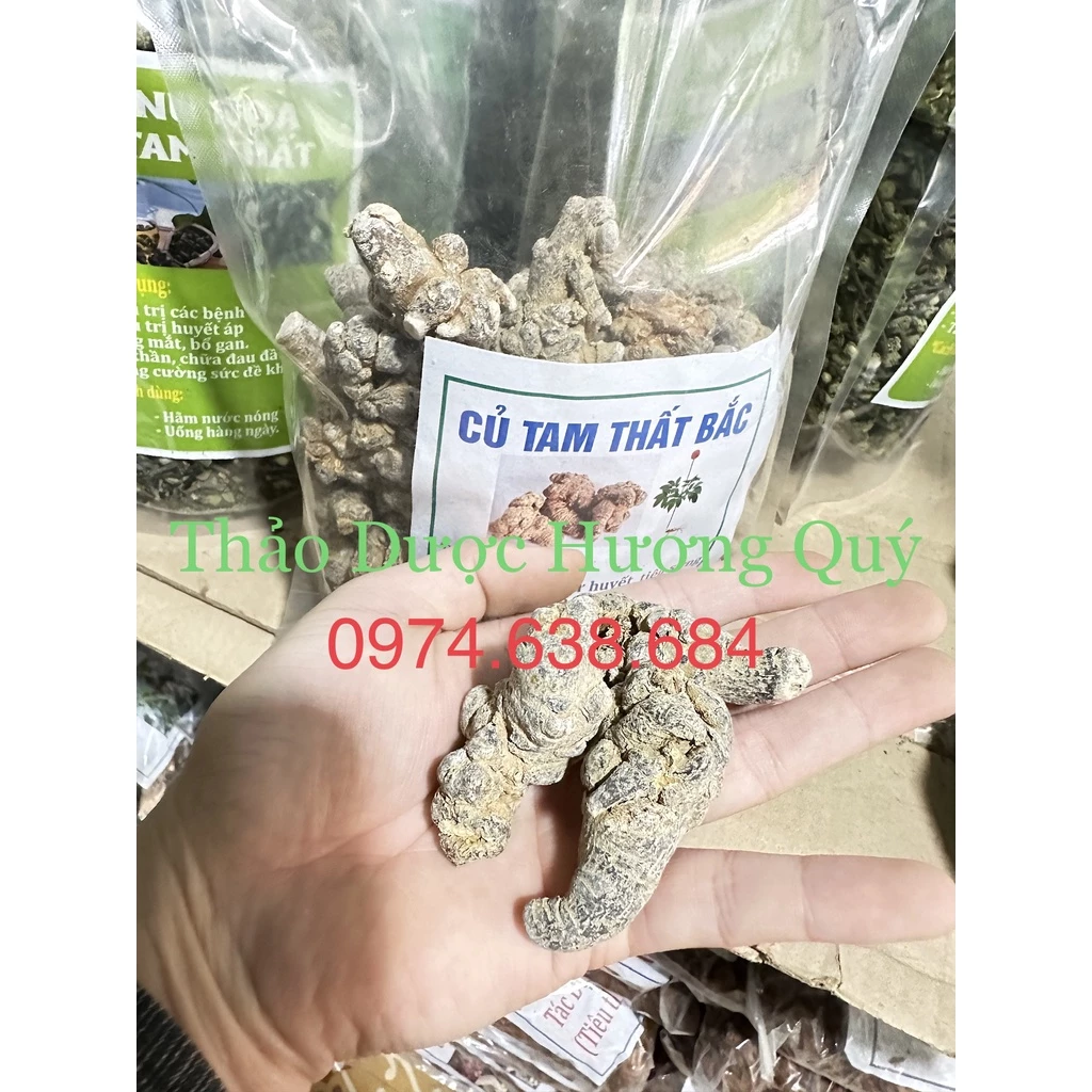 100g Củ TAM THẤT BẮC To (52 Củ/1kg - Hàng loại 1, Cực quý hiếm, Nhiều công dụng tốt)