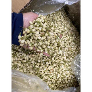 Trà Nụ Nhài Túi 1Kg(Dried Jasmine Bud) Việt Hiệp