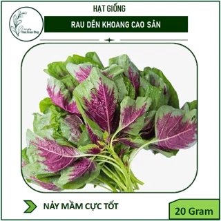 Hạt Giống Rau Dền Khoang Cao Sản 20g