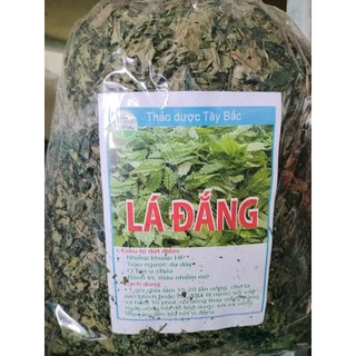 [1Kg] Lá đắng khô rừng Lai Châu (lá cơm kìa ) - Lá khô, xanh, thơm, sạch ko lẫn lá tạp - Tr! Dạ dày, khuẩn Hp