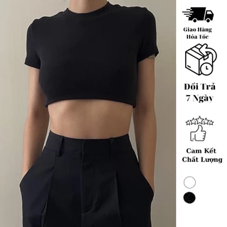 Áo croptop nữ body trơn ngắn tay JUNE.SG chất thun gân form basic D012