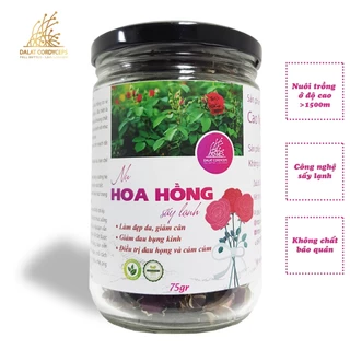 Trà thảo mộc nụ hoa hồng sấy lạnh - Dalat Cordyceps - loại thượng hạng