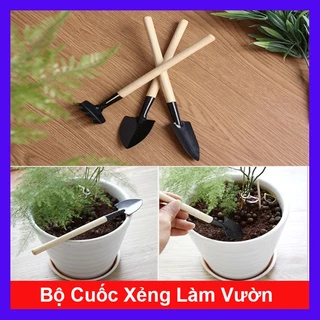 Dụng cụ làm vườn mini, 3 món, tiện lợi, chuyên dụng trồng sen đá, cán gỗ