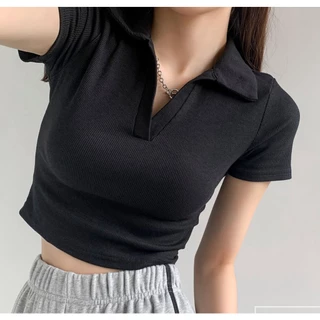 💃 Áo Croptop Nữ Cổ V Vải Thun Gân 4 Chiều Cộc Tay Dáng Ngắn 4 Màu