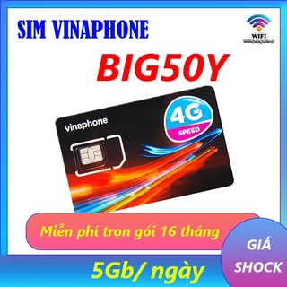 Sim 4G Vinaphone gói BIG50Y Trọn gói 16 tháng, mỗi ngày có 5GB dung lượng
