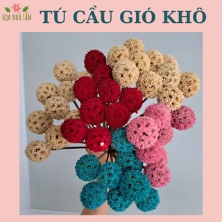 Tú cầu gió khô (1 bông)  -  Cắm hoa, decor, handmade Hoa Nhà Tấm