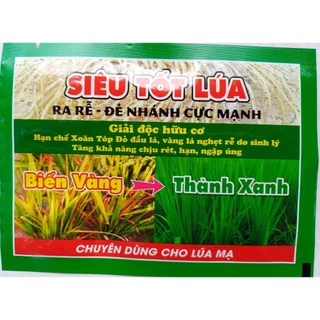 phân bón SIÊU TỐT LÚA BIẾN VÀNG THÀNH XANH ra rễ để nhánh cực mạnh