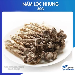 Nấm lộc nhung 50g ( Nấm quý cao cấp, nấu canh bồi bổ sức khỏe ) - Thảo Dược Hạnh Nguyên