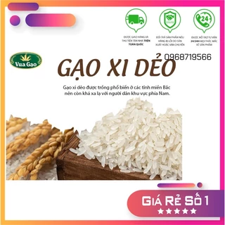 Gạo Xi dẻo hạt đều, cơm thơm dẻo đặc sản Thái Bình (túi 1kg-10kg ship hoả tốc)