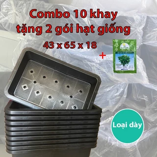 Khay Chậu Nhựa Trồng Rau Sạch Thông Minh Tại Nhà Trên Sân Thượng – Kích Thước 65 x 43 x 18 cm - Combo 10 cái