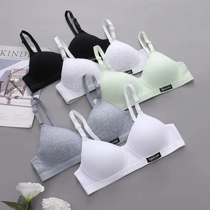 Áo Lót Nữ Sinh Cotton Không gọng Đệm Mỏng Ôm Ngực Mút Mềm A15