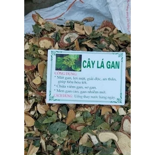 Cây lá gan 1 kg