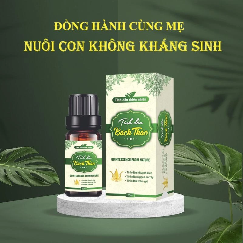 Tinh dầu Bách Thảo bôi ho, sổ mũi, khò khè cho bé