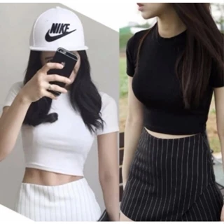 Áo croptop nữ cổ tròn áo ôm body tay ngắn chất vải dày dặn croptop trơn 2 màu đen và trắng