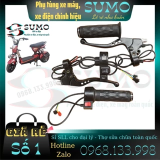 Cụm tay ga, tay phanh, cụm công tắc xe điện - Phụ Tùng Xe SUMO