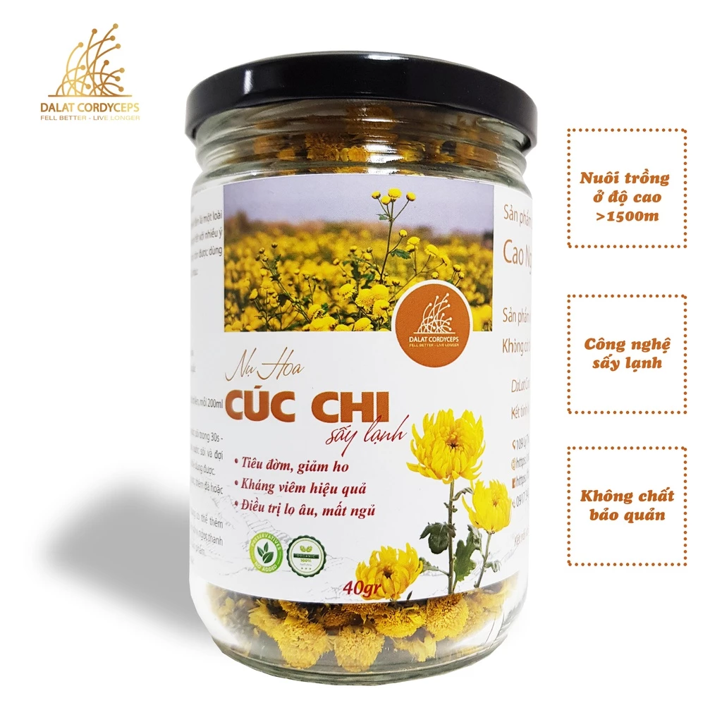 Trà thảo mộc nụ hoa cúc chi sấy lạnh - Dalat Cordyceps - loại thượng hạng