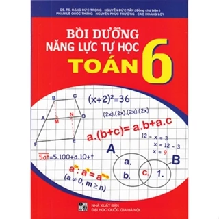 Sách - Bồi dưỡng năng lực tự học Toán 6