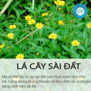 Lá sài đất tươi tắm cho bé - 1 kg