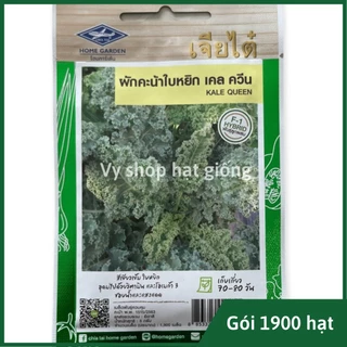 Hạt giống cải xoăn xanh Kale Queen Thái Lan gói 1900 hạt