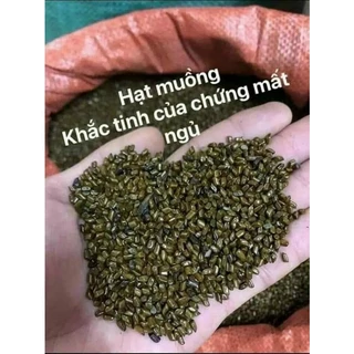 1Kg HẠT MUỒNG (Thảo Quyết Minh) hàng loại 1, xua tan nỗi lo mất ngủ