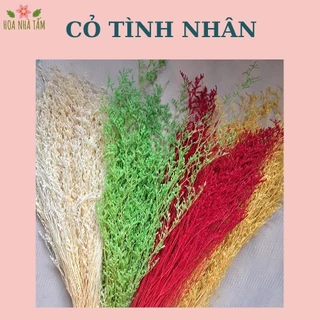 Cỏ Tình nhân khô (10gr)  - decor, handmade Hoa Nhà Tấm