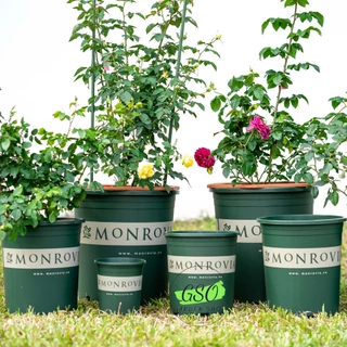 Chậu nhựa trồng cây chính hãng MONROVIA 1 Gallon - dòng O-Series