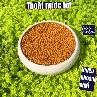 PHÂN TAN CHẬM SIÊU BỔ DƯỠNG(100g) 🍏 TIỆN LỢI DÀNH CHO SEN ĐÁ XƯƠNG RỒNG