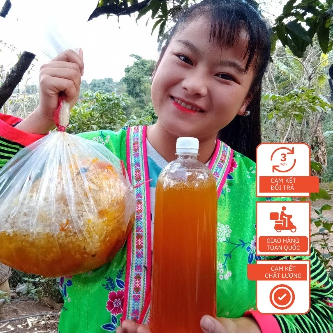Mật Ong Khoái Rừng Nguyên Chất 100% - Sùng Thị Bầu