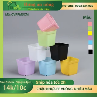 CVPPM5CM - 10 chậu vuông nhựa PP trồng sen đá bonsai xương rồng có 7 màu chọn - size 5x5cm