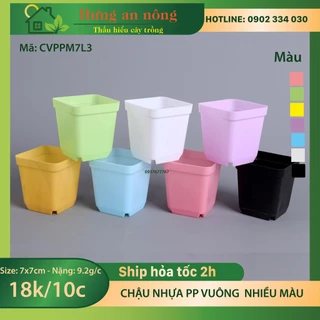 CVPPM7L3 - Combo 10 chậu vuông trồng sen đá bonsai xương rồng có 7 màu chọn 7x7x7,5cm