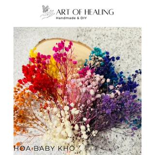 [AOH - Art of Healing] Set Hoa baby khô trang trí nến, resin, sổ tay, decor - Handmade & DIY
