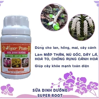 Sữa Dinh Dưỡng - SUPER ROOT - Phân Bón Cho Cho Lan lọ 100ml