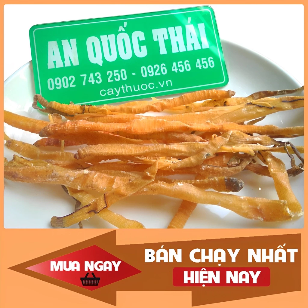 Sá Sùng Khô Nấu Phở 100g [Loại 1] Con To, Sạch Cát, Sá Sùng Nha Trang Nấu Nước Lèo Siêu Ngọt, Thơm Ngon