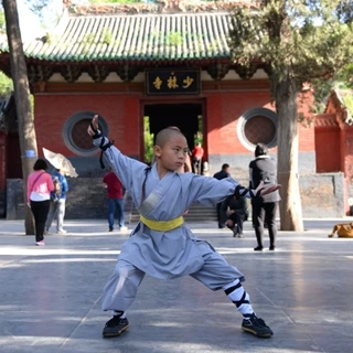 1 Trang Phục Trình Diễn Shaolin Wushu Shaolin Wushu Bằng Cotton Nguyên Chất .A2 A2