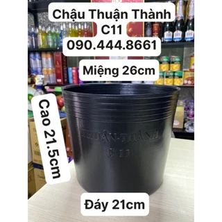 Combo 100 Cái Chậu Nhựa Mềm THUẬN THÀNH Trồng Cây Hoa - Mẫu C11