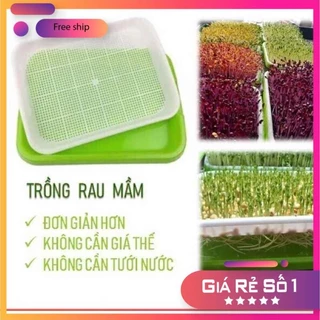 KHAY TRỒNG RAU MẦM THỦY CANH CHUYÊN DỤNG 2 LỚP ĐỘ BỀN CAO