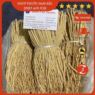 Đẳng sâm Tây Bắc khô loại ngon gói 100g-300g-500g