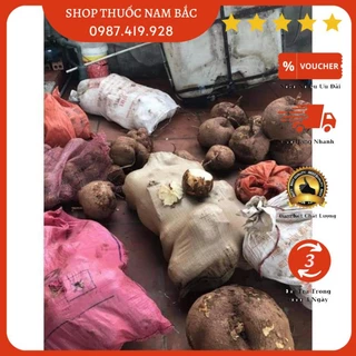 SÂM TỐ NỮ KHÔ NGUYÊN CHẤT 1KG