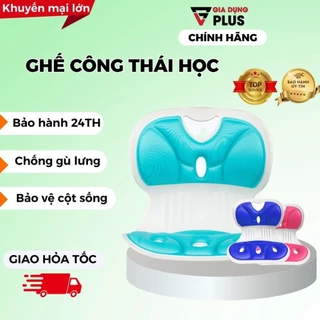 Ghế Công Thái Học Chống Gù Lưng, Ghế Văn Phòng Chỉnh Dáng Ngồi Đúng Roichen Cho Nam Nữ Nhập Khẩu Hàn Quốc Chính Hãng