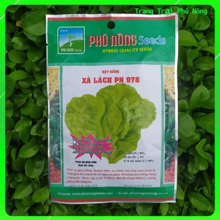 [Gói Lớn]Hạt Giống Xà Lách PN-978 Phú Nông - Gói 50g - Lettuce