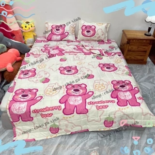 Bộ Chăn hè Ga Gối Cotton Poly Combo 5 Món - Nhiều Mẫu Lựa Chọn