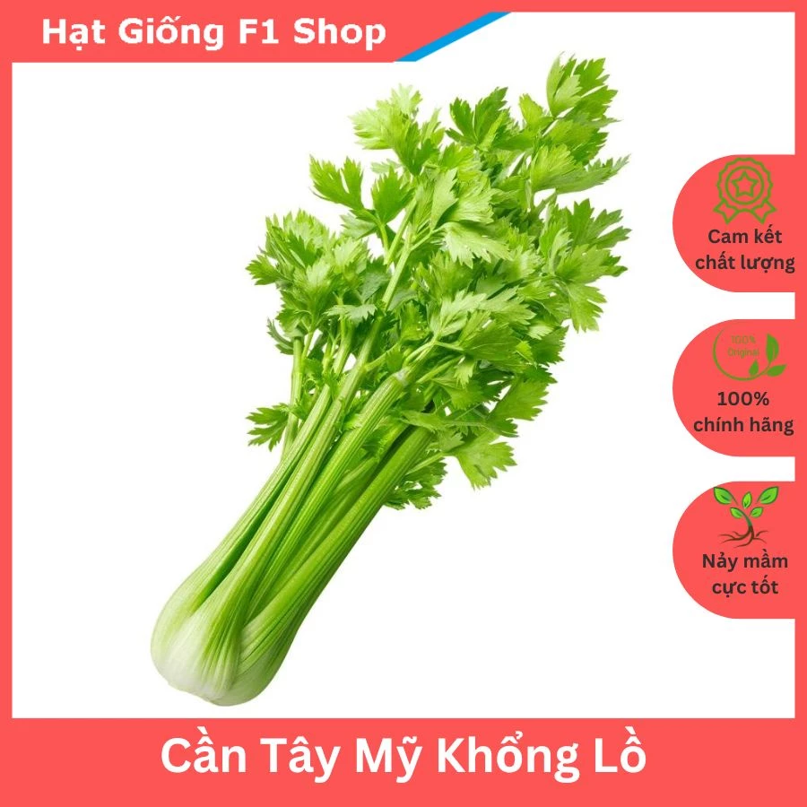 Hạt Giống Cần Tây Mỹ Khổng Lồ Dễ Trồng (294.F1)