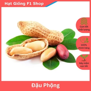 Hạt Giống Đậu Phộng (Giống Lạc) Năng Suất Cao (258.F1)